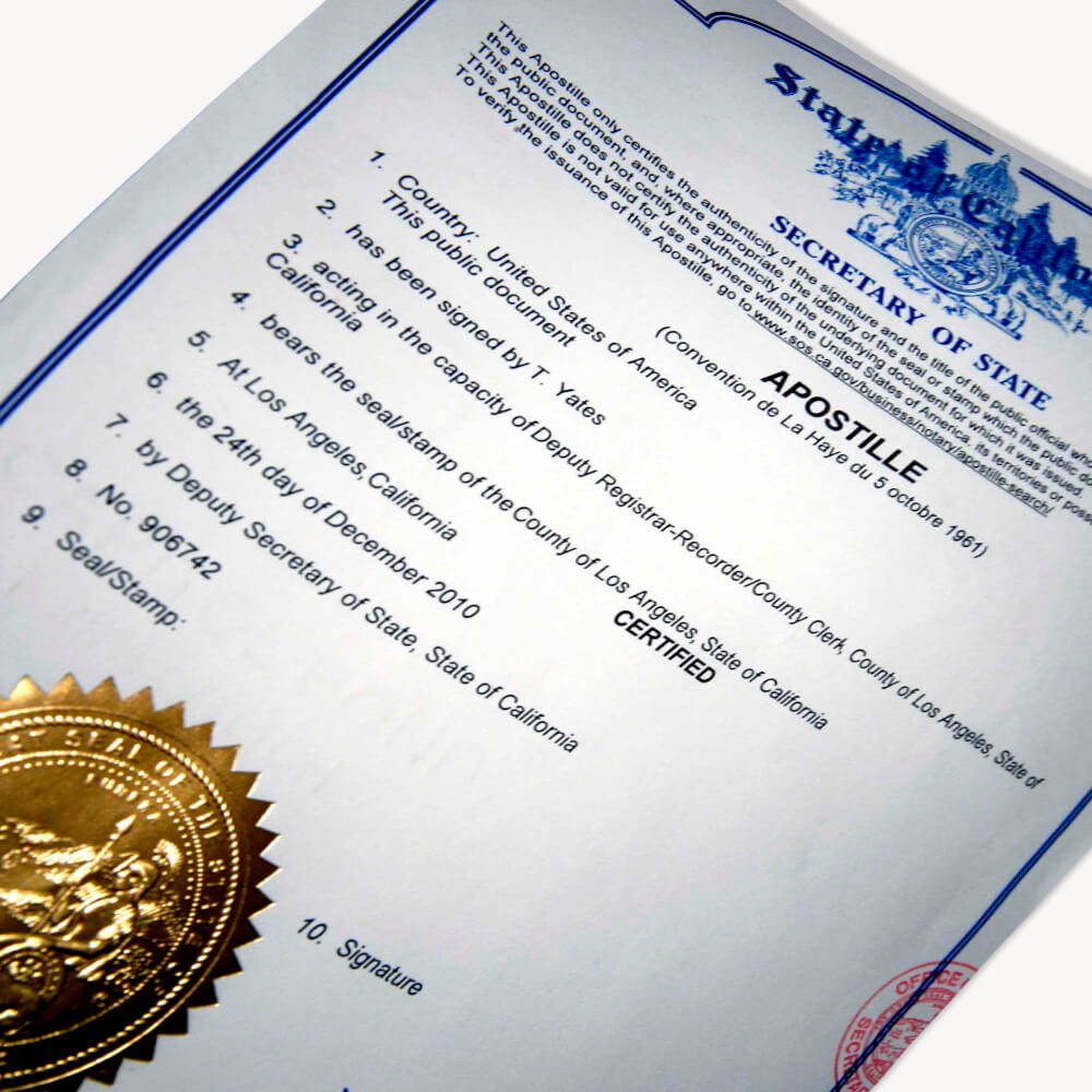 Importing a Car from Germany: Documents and Translations You Need