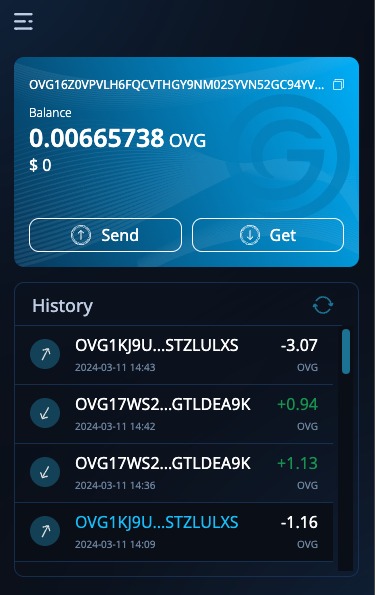 OVG Wallet Extension: Wallet balance